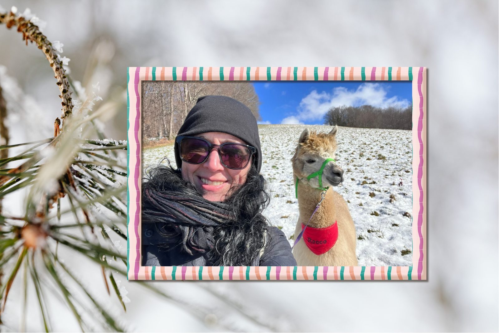 Katja Seibert-Bolz mit Alpaka Rocco auf einer verschneiten Wiese